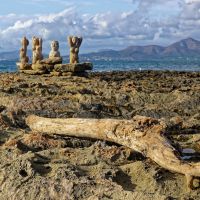 canpicafort2017 0017 canpicafort2017 0017