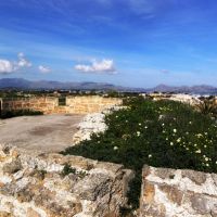 Alcudia9 Alcudia9