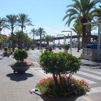 DSCF1238 DSCF1238