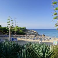 paguera platja romana3 paguera platja romana3