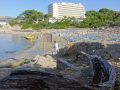 paguera platja romana strand