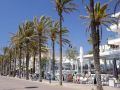 playadepalma4 800x545