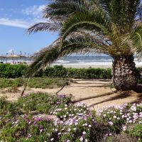 playadepalma7 800x545 playadepalma7 800x545