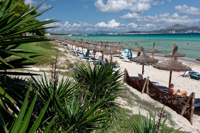 Yucapalmen und Sonnenliegen am Strand