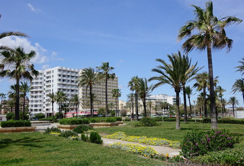 Palmen in der nähe der Strandpromenade